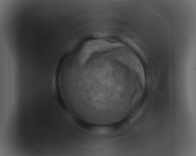 X0000100950209200807151344