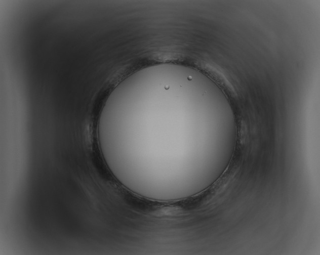 X0000100950210200807151344