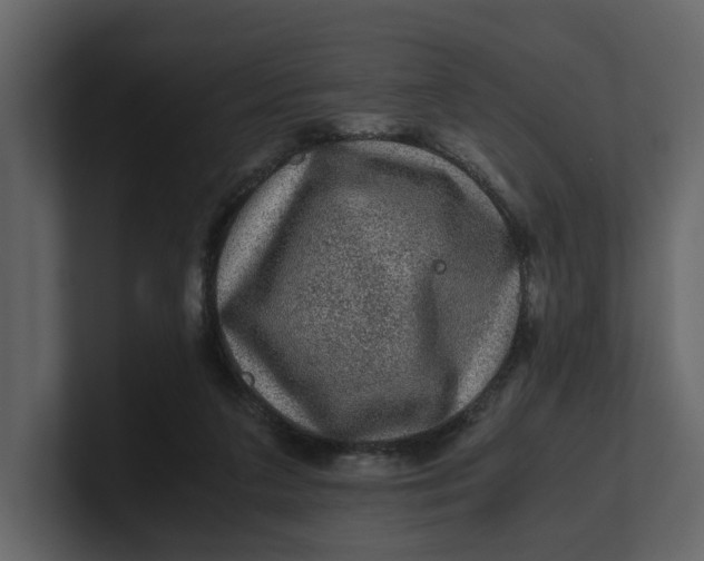 X0000100950211200807151344