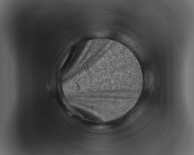 X0000100950212200807151344