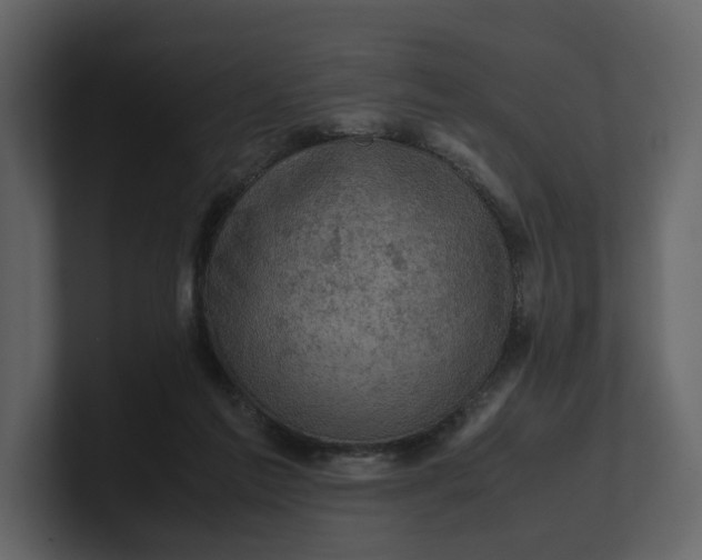 X0000100950213200807151344