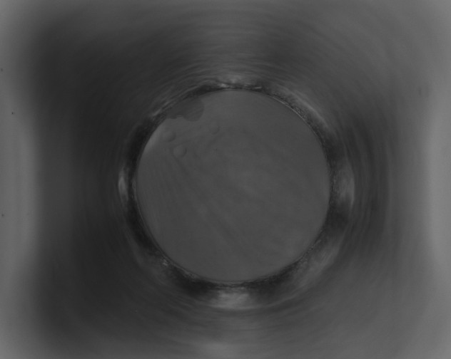 X0000100950214200807151344