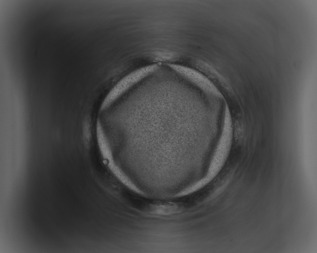 X0000100950215200807151344