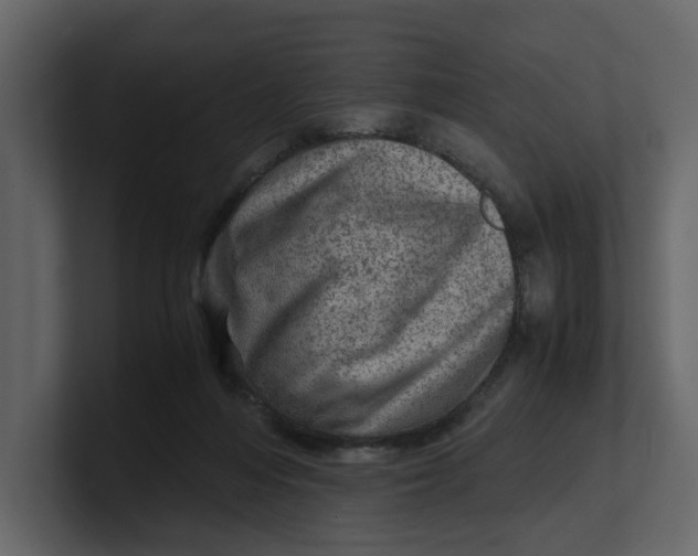 X0000100950216200807151344