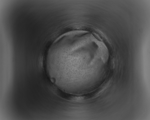 X0000100950217200807151344