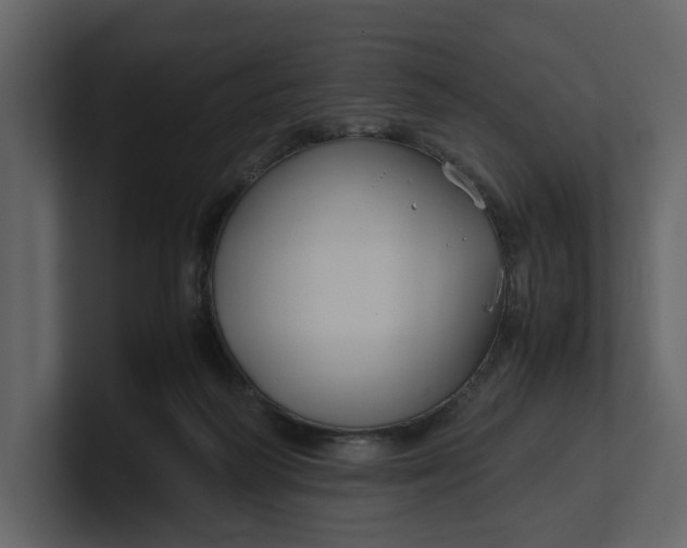 X0000100950218200807151344