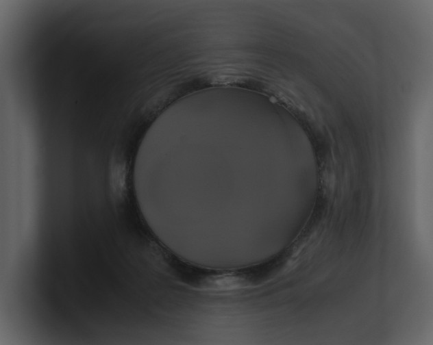 X0000100950219200807151343