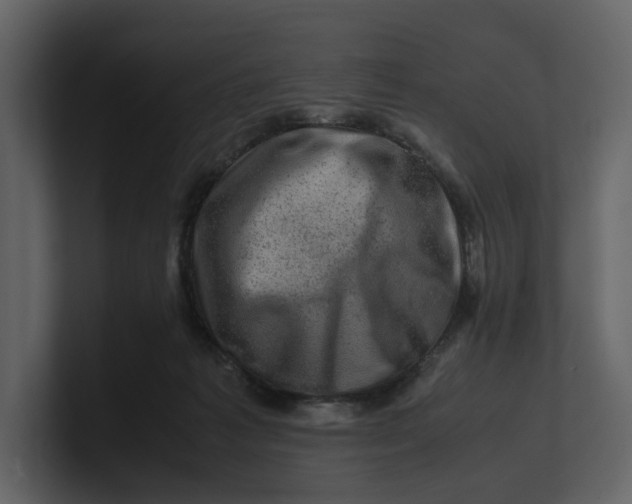 X0000100950221200807151343