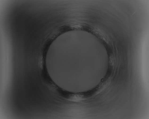 X0000100950223200807151343