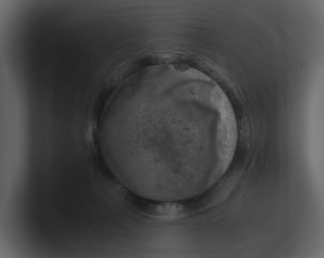 X0000100950225200807151343