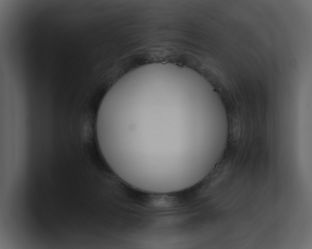 X0000100950226200807151343