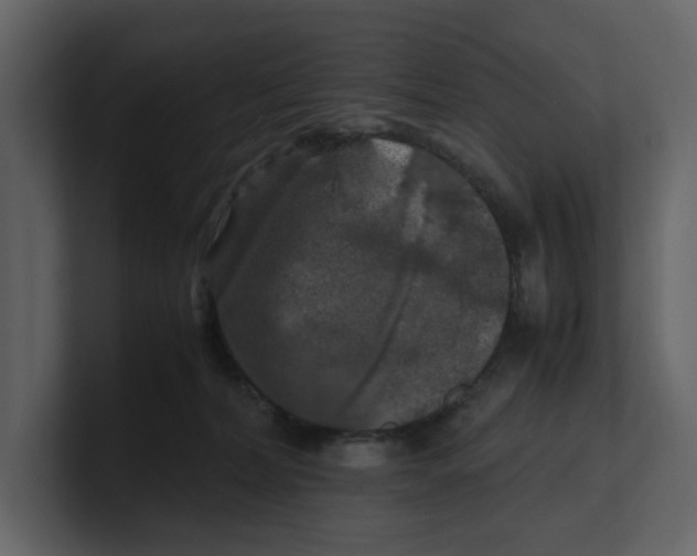 X0000100950228200807151343