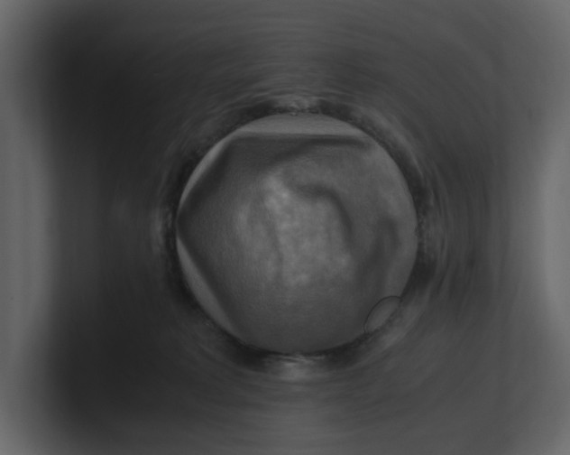 X0000100950229200807151343