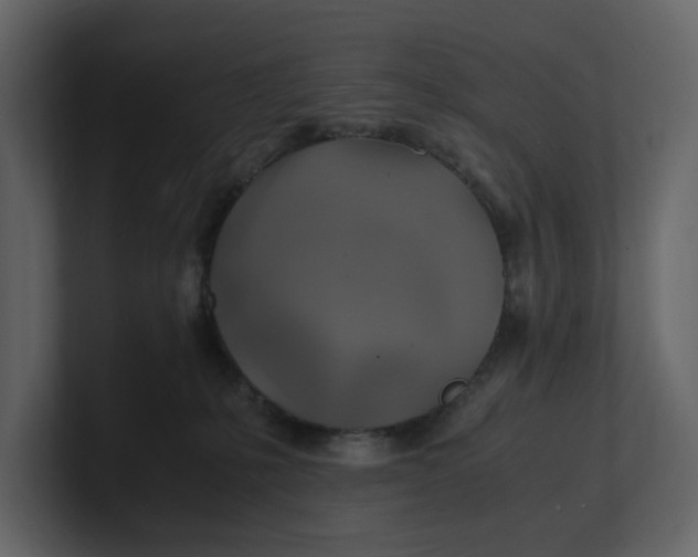 X0000100950231200807151343