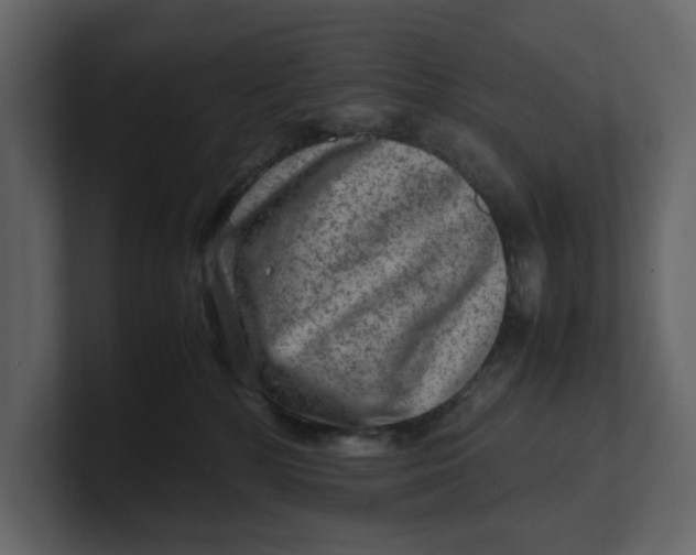 X0000100950232200807151343