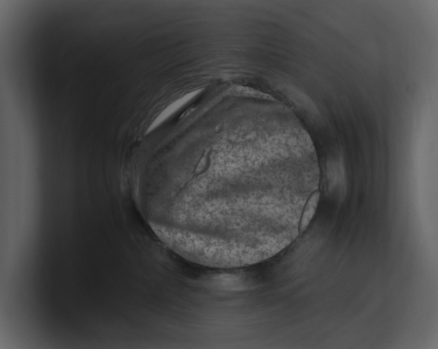 X0000100950236200807151343