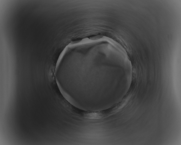 X0000100950237200807151343