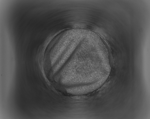 X0000100950241200807151343