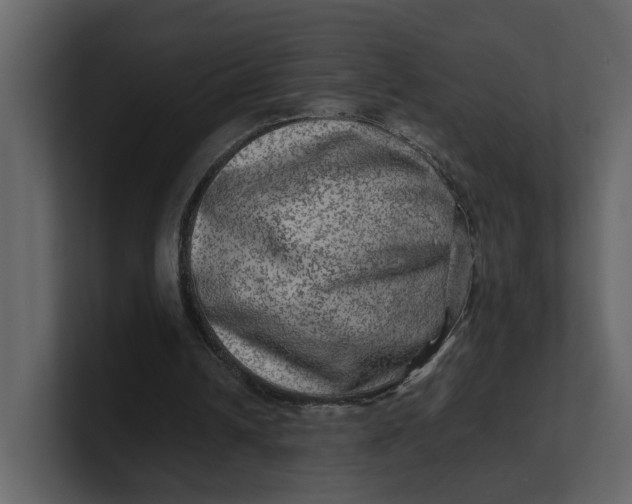 X0000100950242200807151343