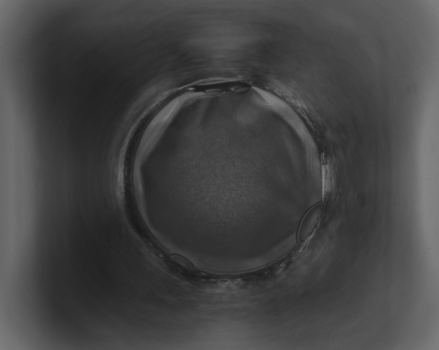 X0000100950243200807151343