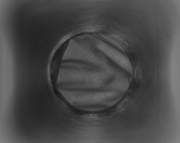 X0000100950244200807151343