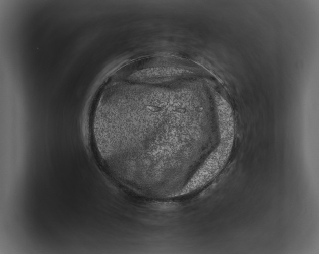 X0000100950245200807151343