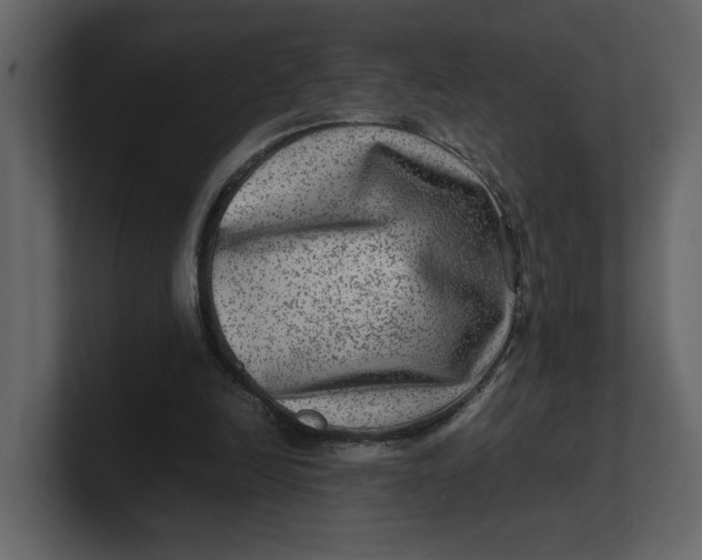 X0000100950246200807151343