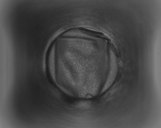 X0000100950248200807151343