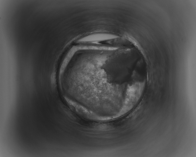 X0000100950249200807151343