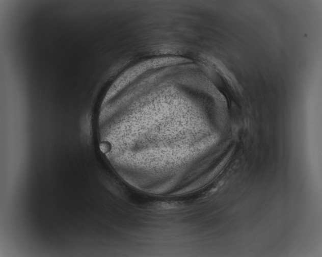 X0000100950250200807151343