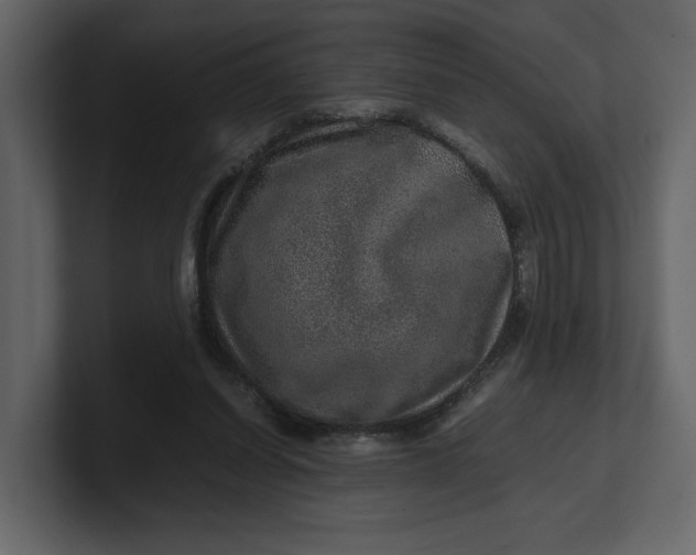 X0000100950254200807151343