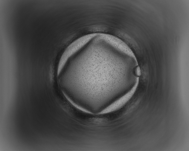 X0000100950255200807151343