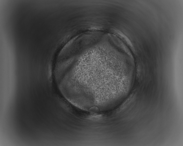 X0000100950257200807151343