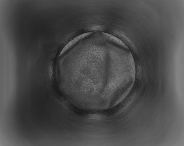 X0000100950259200807151343