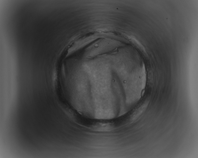 X0000100950260200807151343