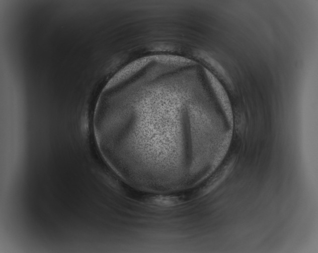 X0000100950261200807151343