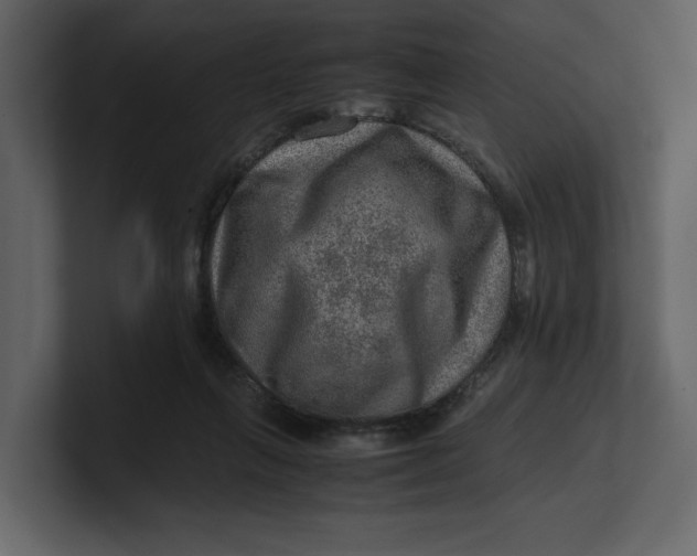 X0000100950263200807151343