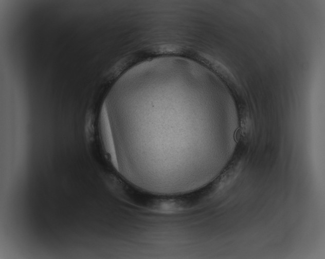 X0000100950264200807151343