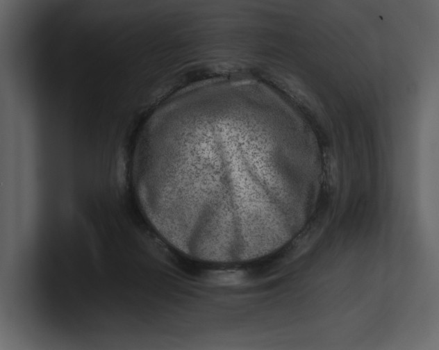 X0000100950266200807151343