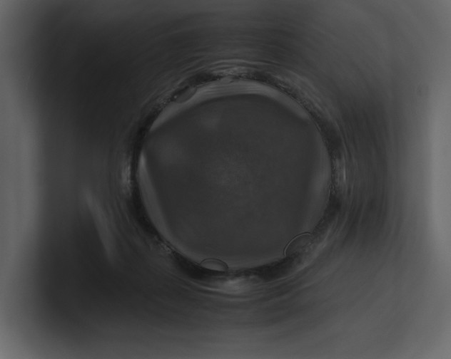 X0000100950267200807151343