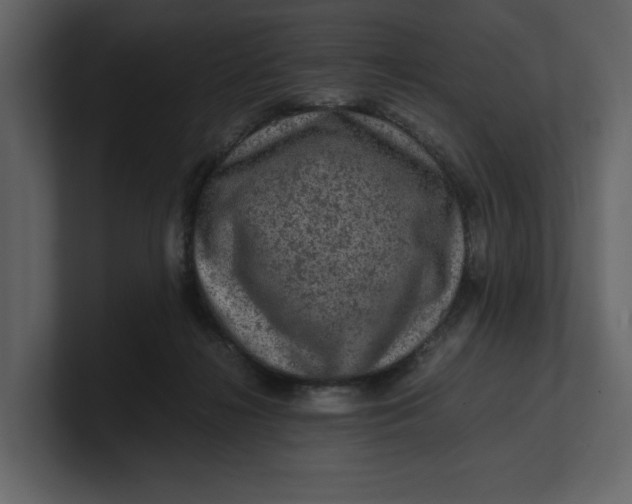 X0000100950268200807151343