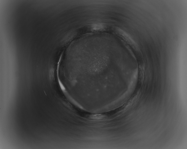 X0000100950269200807151343