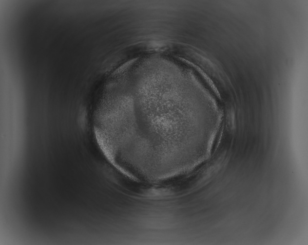 X0000100950270200807151343