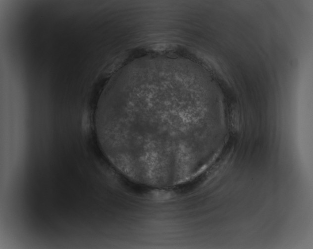 X0000100950272200807151343