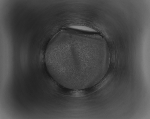 X0000100950273200807151343