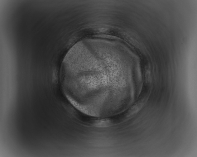 X0000100950274200807151343