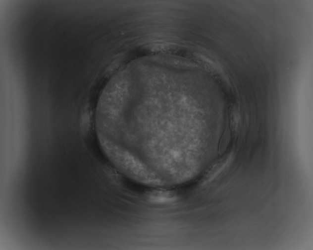 X0000100950276200807151343