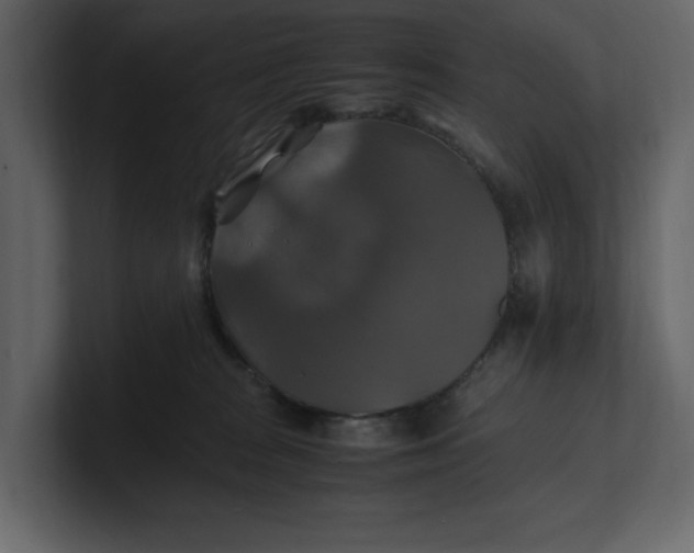 X0000100950277200807151343