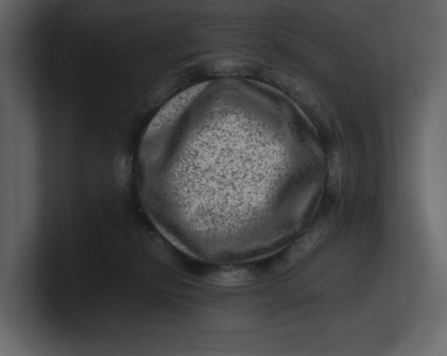 X0000100950278200807151343