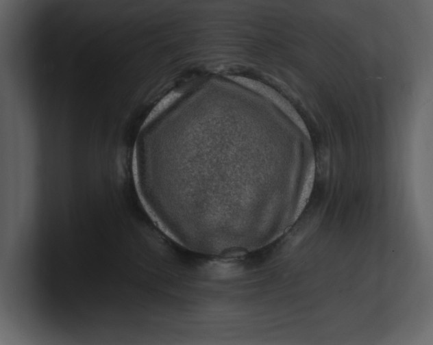 X0000100950280200807151343